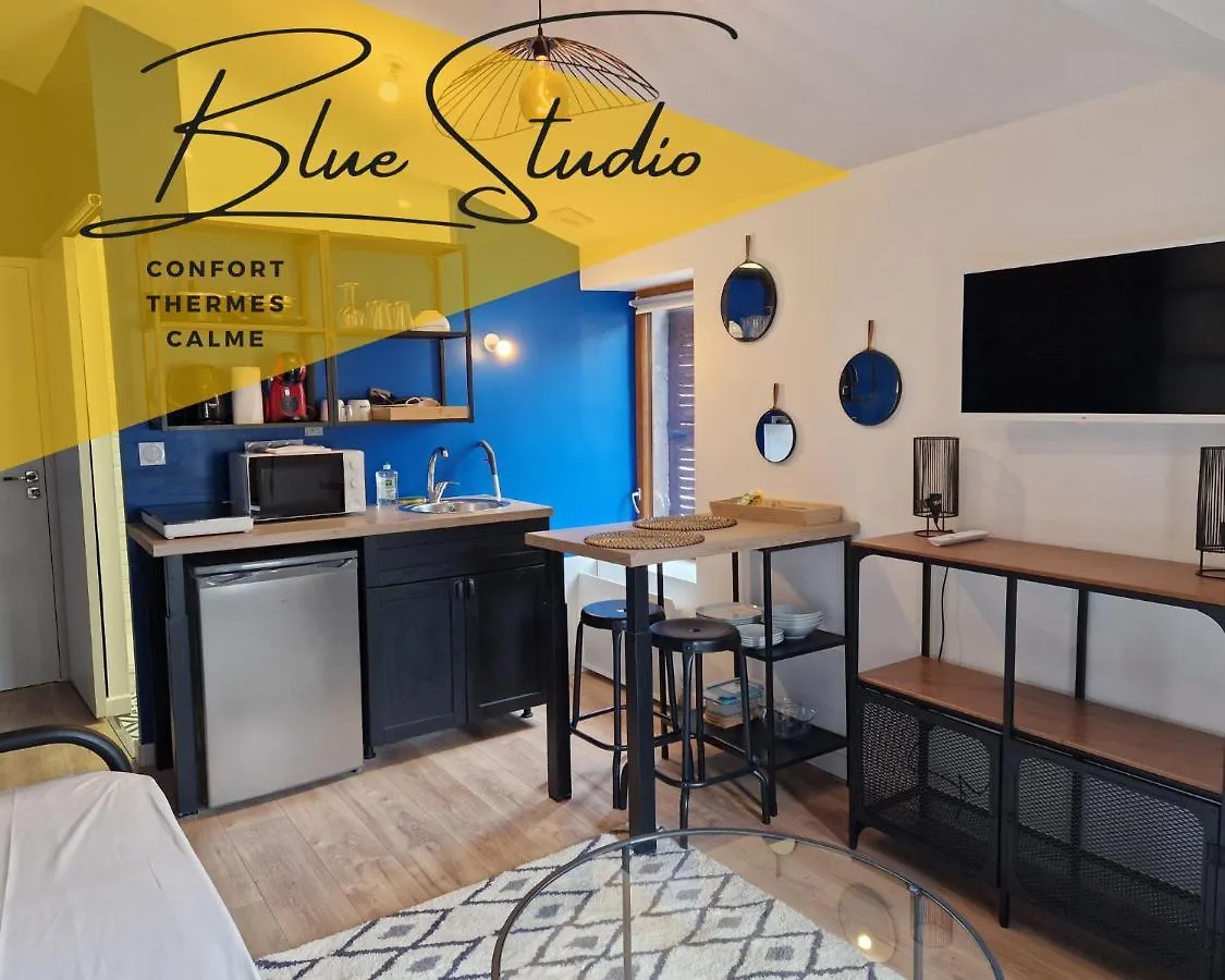 Blue Studio Confort Et Thermes Royat